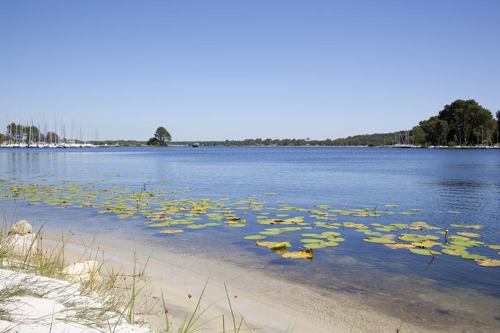 Studio Mansarde Climatise Les Roseaux Bord De Lac Biscarrosse Exterior foto