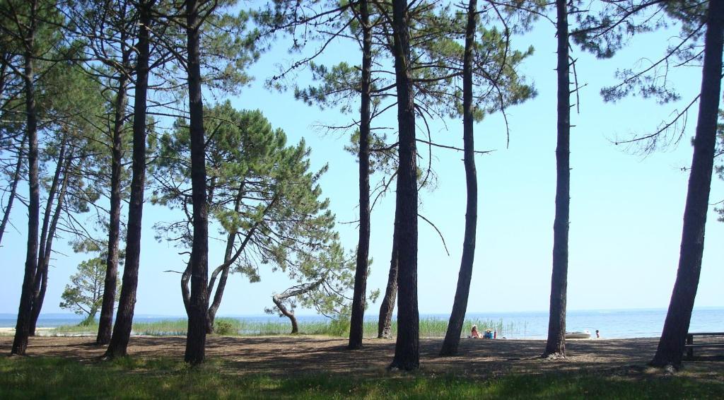 Studio Mansarde Climatise Les Roseaux Bord De Lac Biscarrosse Exterior foto